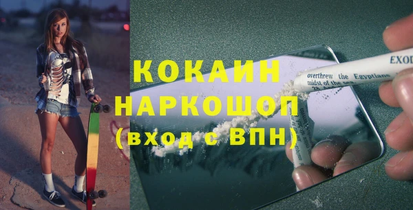 бошки Новодвинск