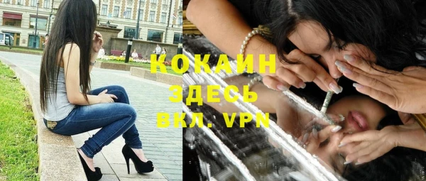 бошки Новодвинск