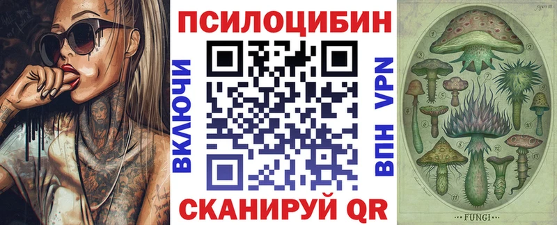 Псилоцибиновые грибы GOLDEN TEACHER  наркотики  Павлово 