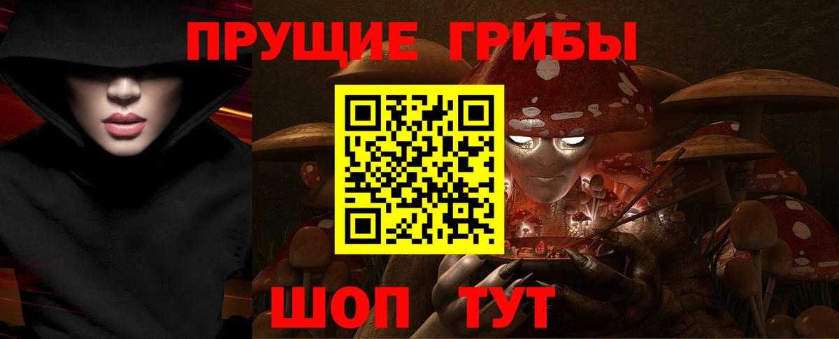 Псилоцибиновые грибы мицелий Павлово